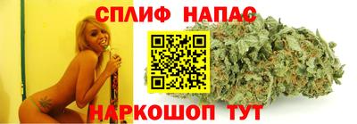сатива Лесосибирск