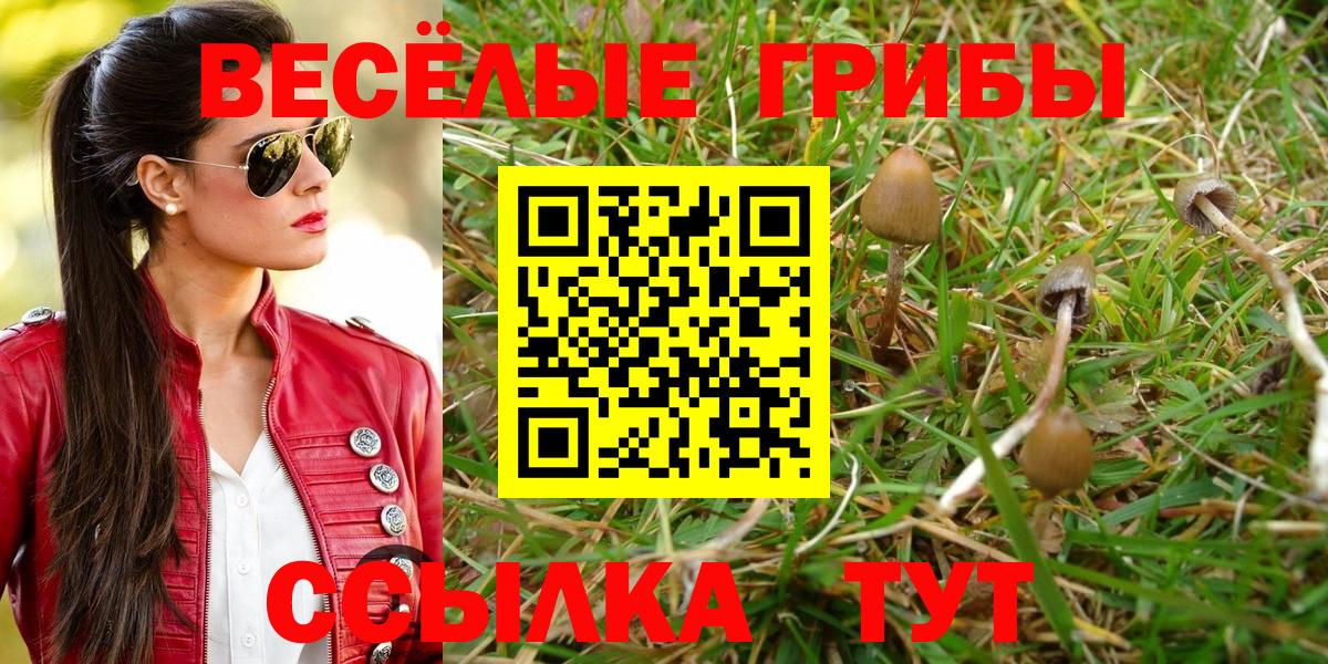 Галлюциногенные грибы мицелий Гудермес